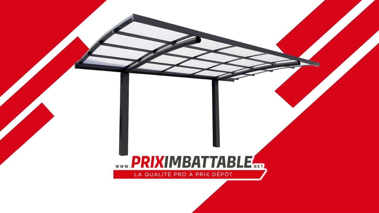 CARPORT GRANDLUX Cintré 2 poteaux
