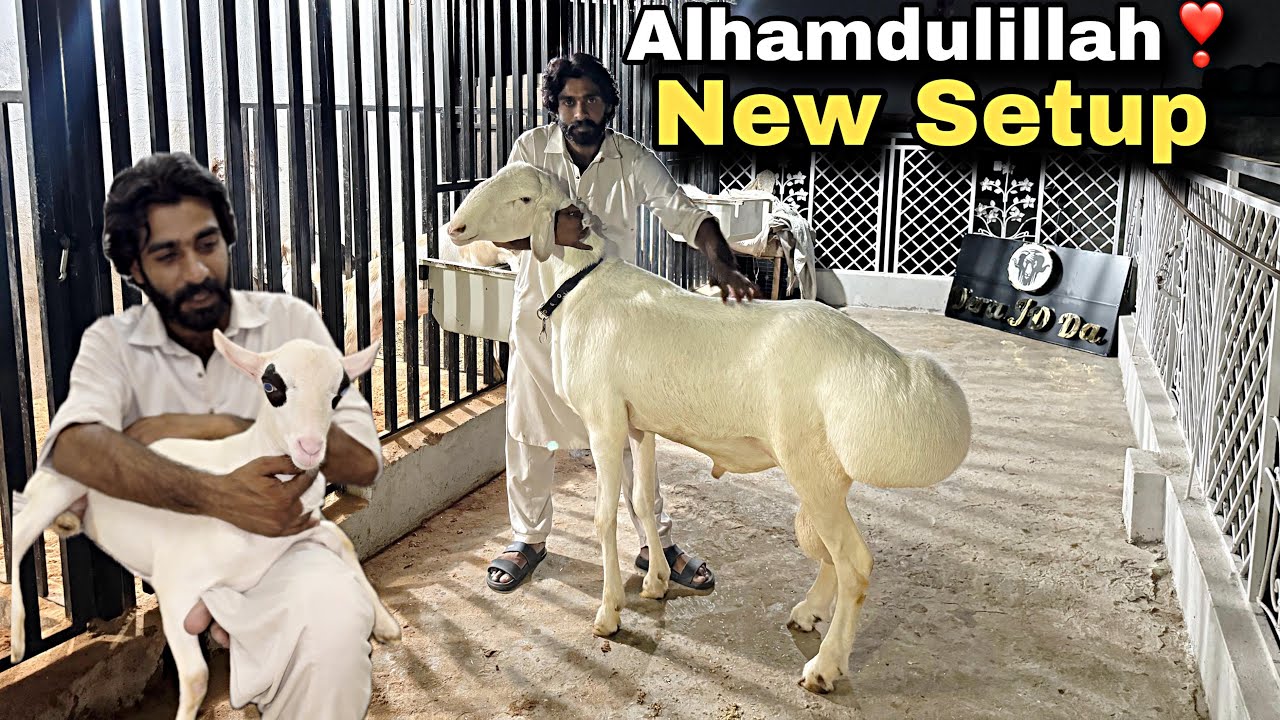 Alhamdulillah - New Palai Setup - Dera JD Da 😍