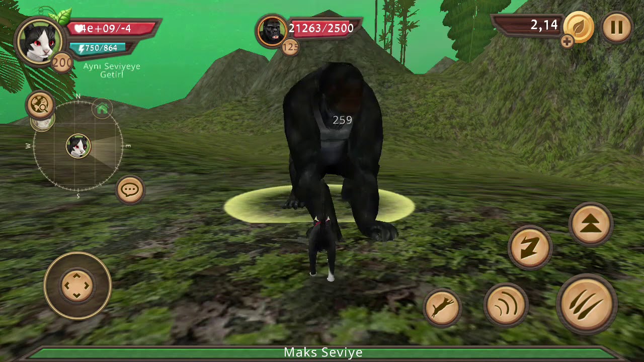 Cat Sim hile videosu