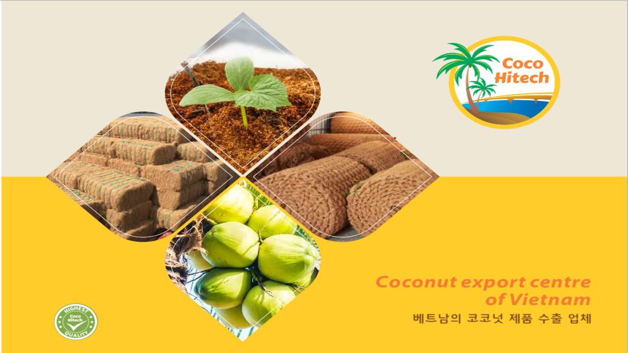 Coconut product list | Coco Hitech Vietnam