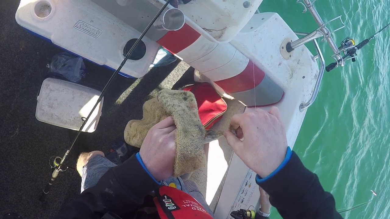 Post - Isolation Flatties!! (Corio Bay)