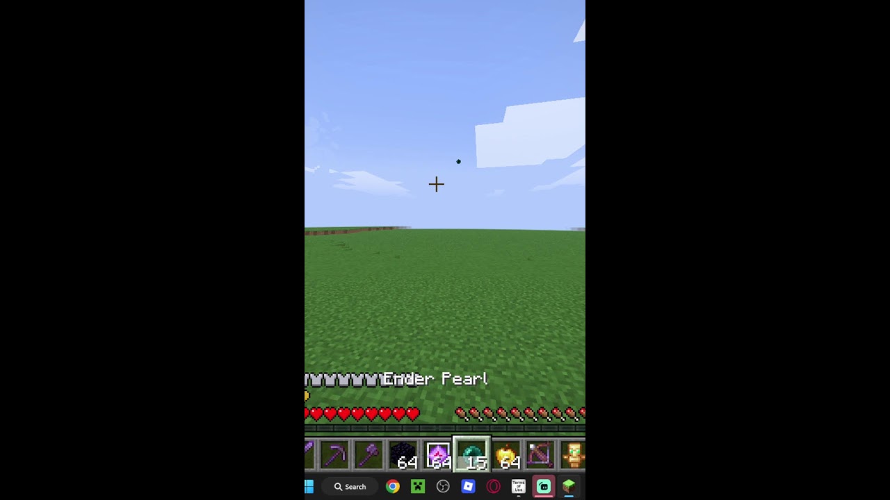 minecraft stream (Portrait)