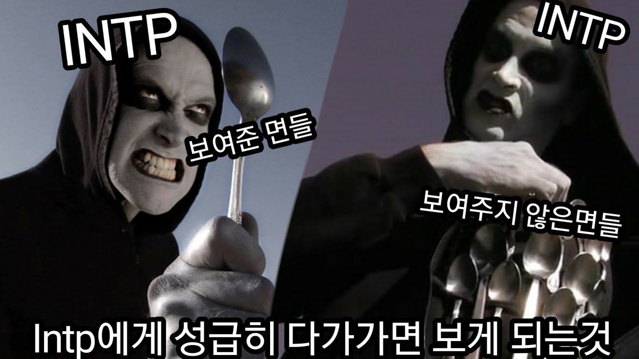 INTP 사용설명서 58.2차 방어선