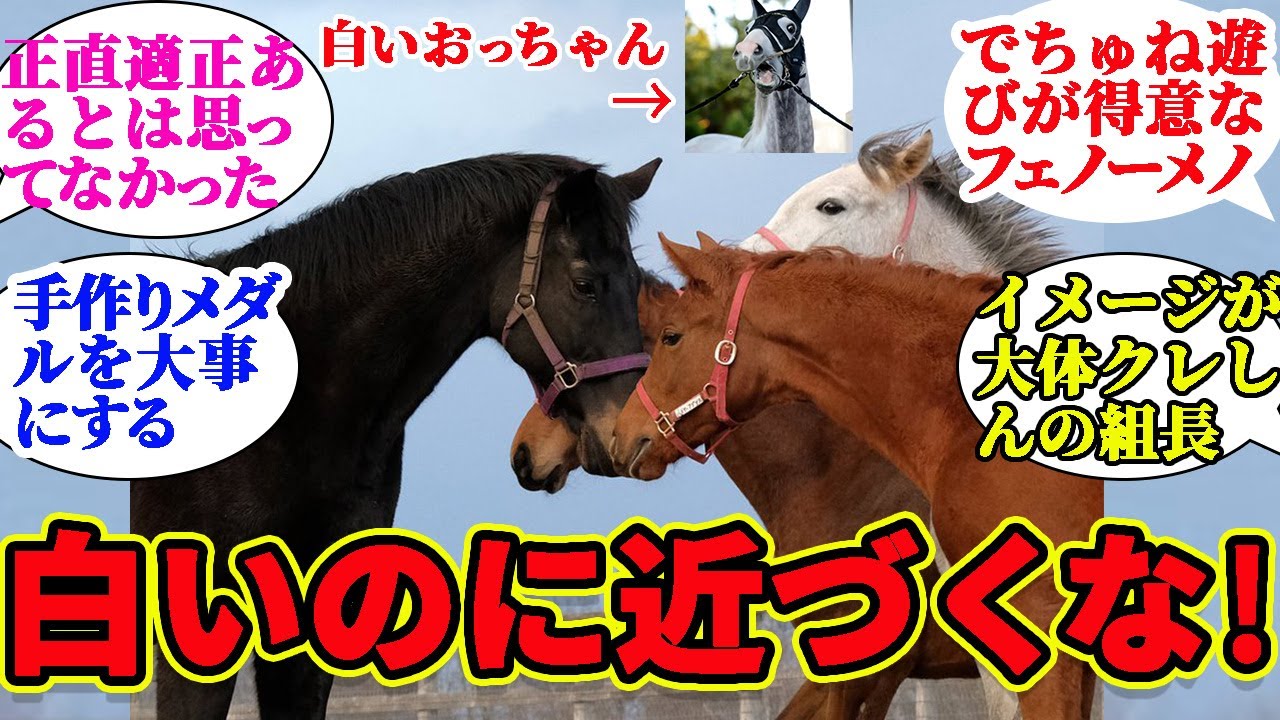 保育士フェノーメノは園児をゴルシから遠ざける！に対するみんなの反応集