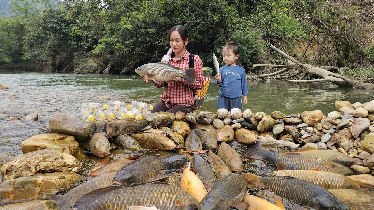 How to trap giant river fish after a night of heavy rain to sell at the market
