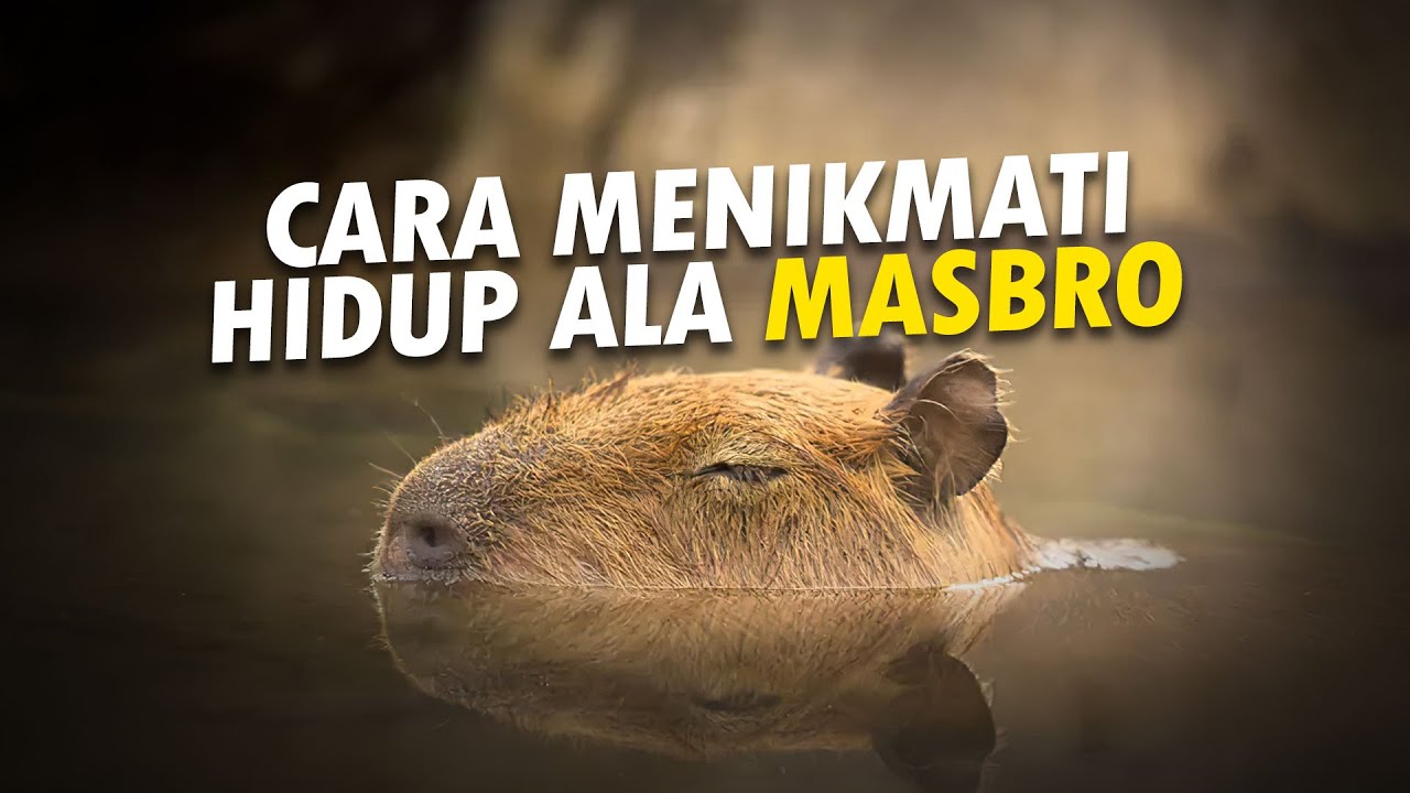 Kehidupan Capybara Nyaris Nihil Prahara #AlamSemenit