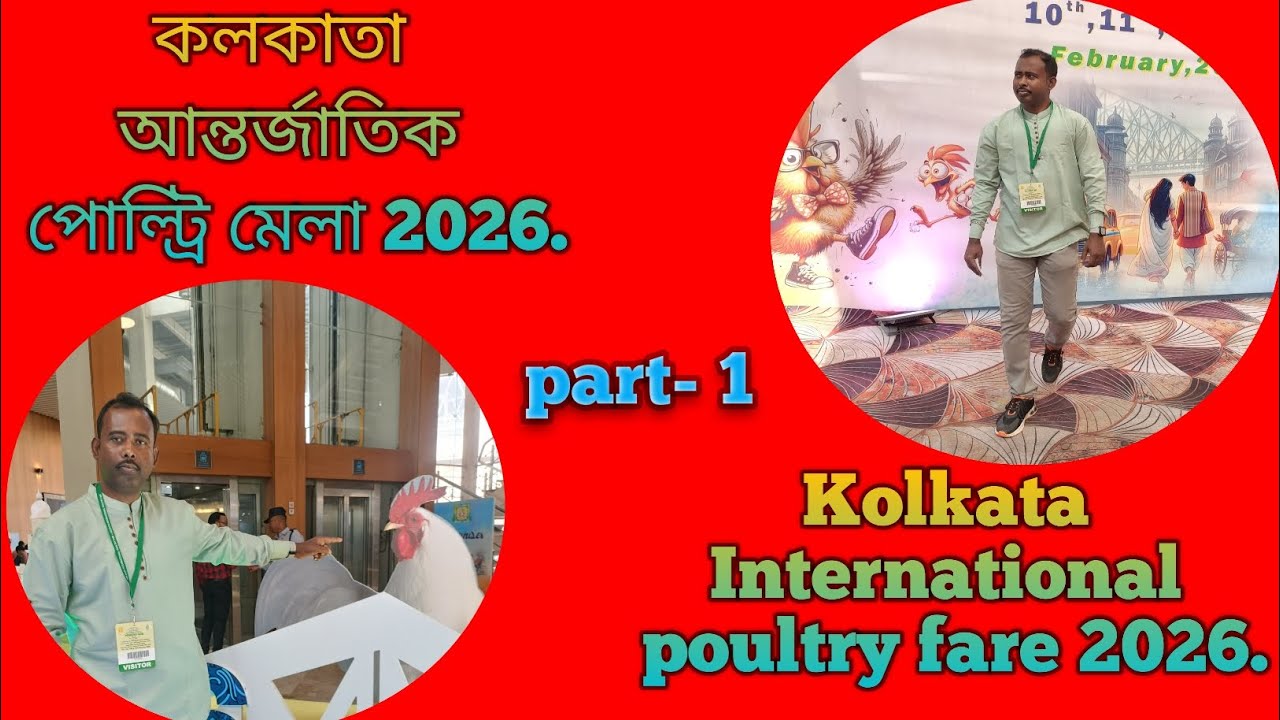 Kolkata International poultry fare 2026 / কলকাতা আন্তর্জাতিক পোল্ট্রি মেলা ২০২৬ / Biswas Farm 