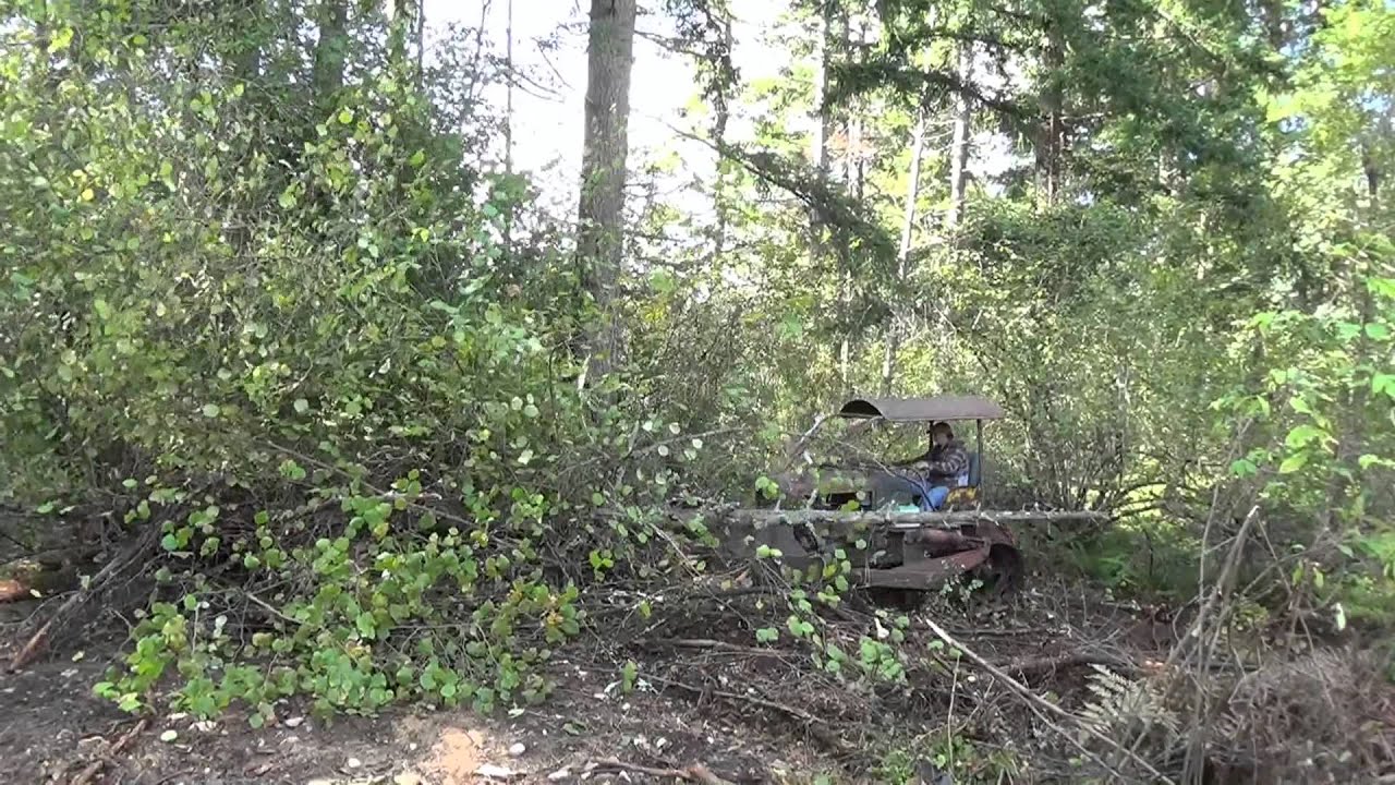 Clearing brush with a Cletrac BG