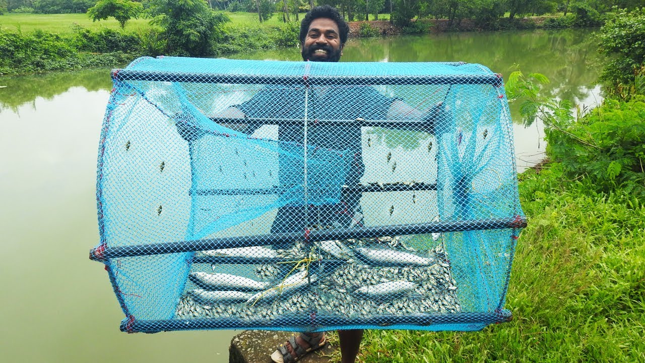 Amazing Fish Trap Making | ഈ മീൻ കൂട് ഉണ്ടെങ്കിൽ മീൻ ചാകര ഉറപ്പാണ്  | M4 Tech |