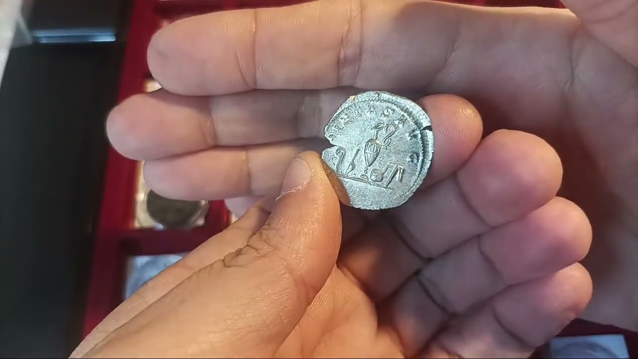 Mi colecci&oacute;n de moneda cl&aacute;sica va creciendo