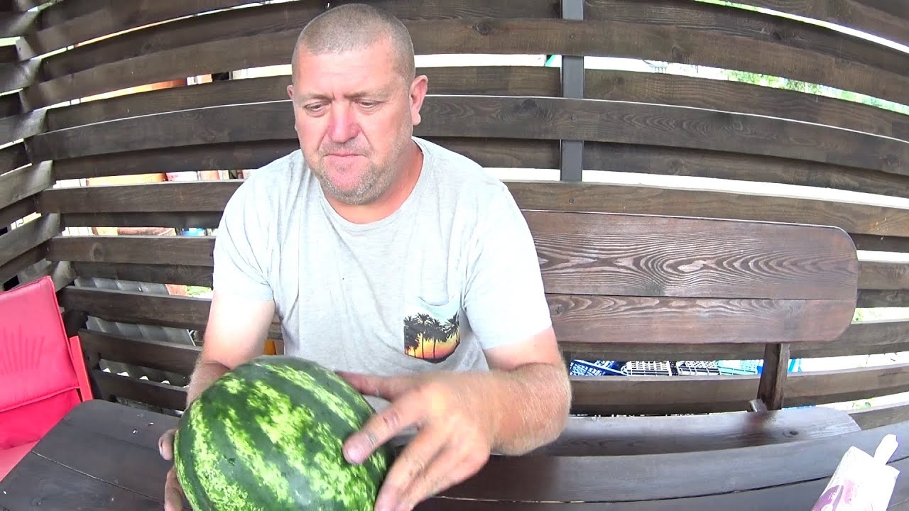 Охота на стиглого кавуна//Дині - пасинкувати чи ні?