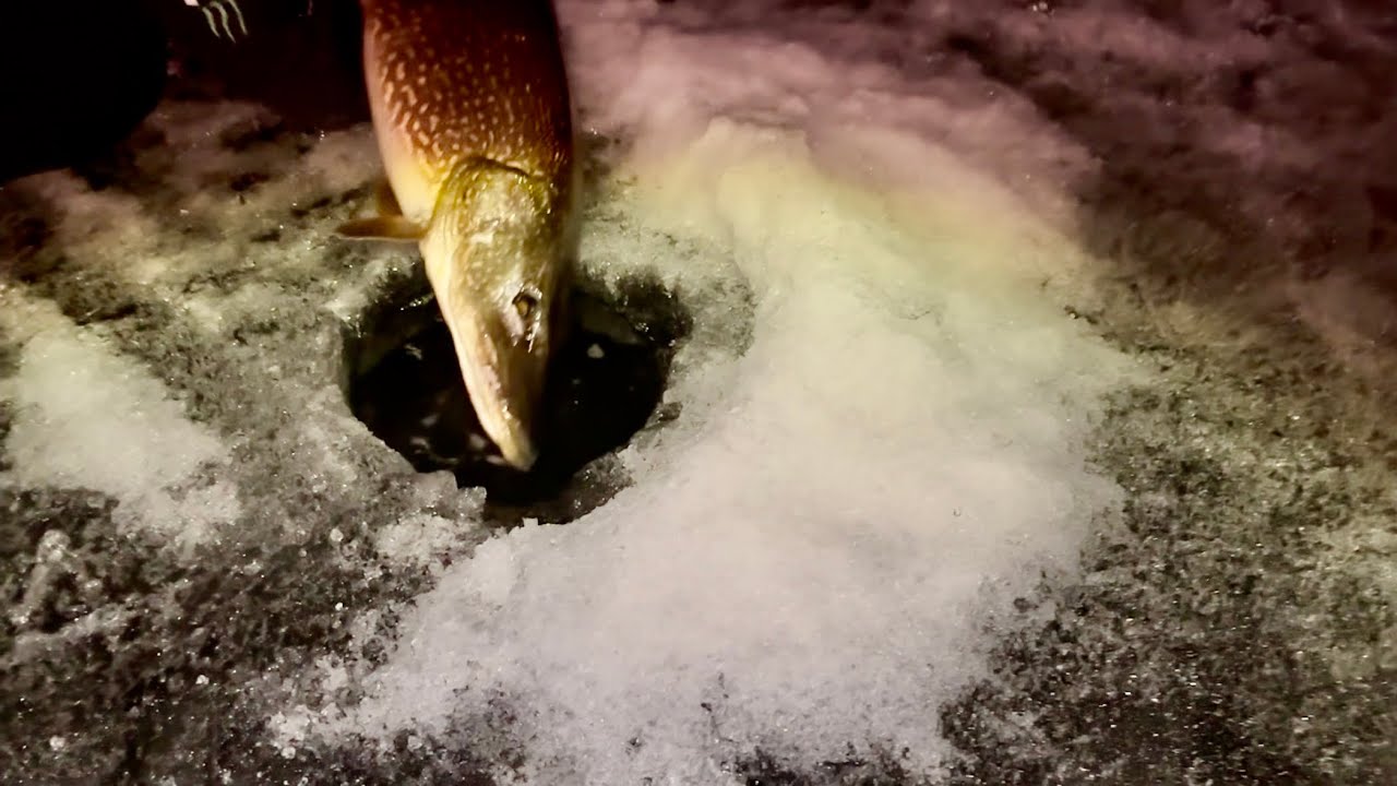 Night Pike !