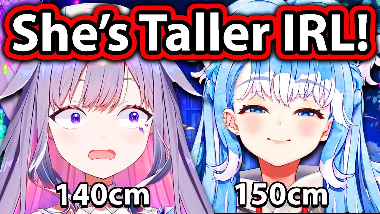 Kobo and Biboo Finally Met IRL and Shared The Same Braincell 【Hololive】