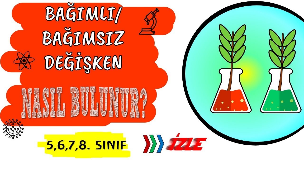 Bağımsız,Bağımlı ve Kontrollü Değişkenler / Değişken Türleri/Fen Bilimleri