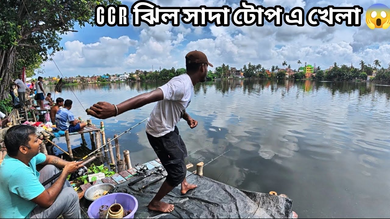 ||CCR JHIL FISHING VIDEO|| CCR ঝিলে কেমন মাছ হলো দেখুন #fishing_jagat #fishing #ccrjhil