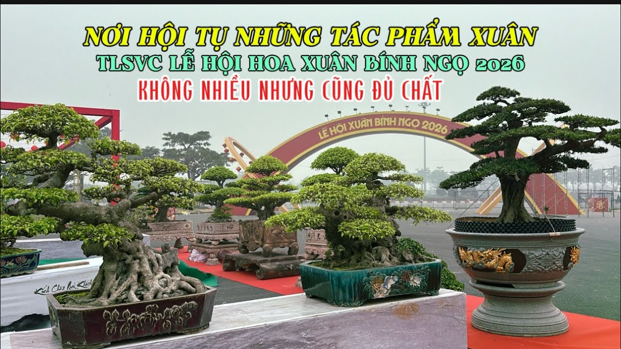 HỘI TỤ NHỮNG TÁC PHẨM XUÂN..! Không nhiều nhưng cũng đủ chất tại lễ hội hoa xuân | Quảng Tùng