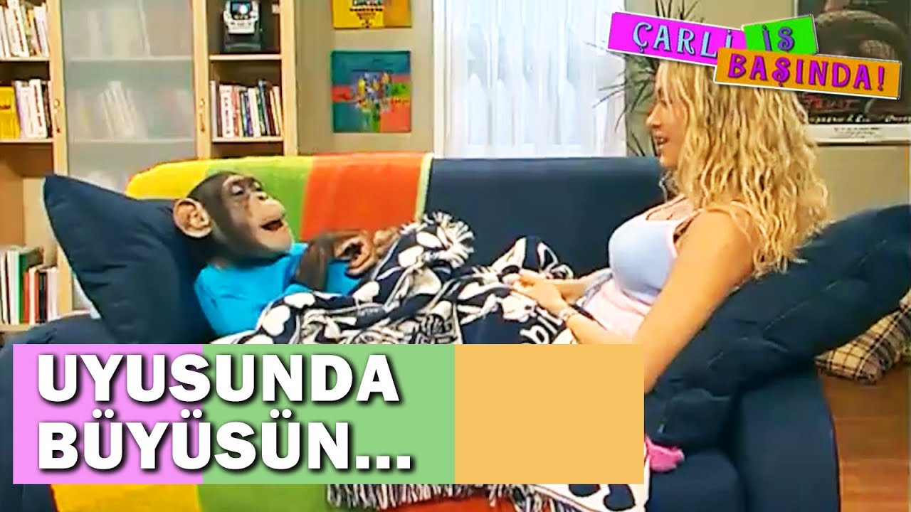 Çarli, Yine Yolunu Buldu - Çarli İş Başında 6. Bölüm