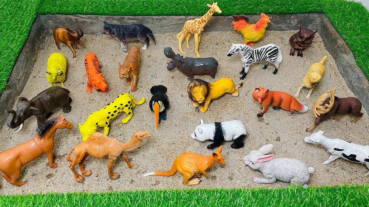 GIANT Animals for Kids! | How BIG Are They? 🐘 | Educational Wild Animal