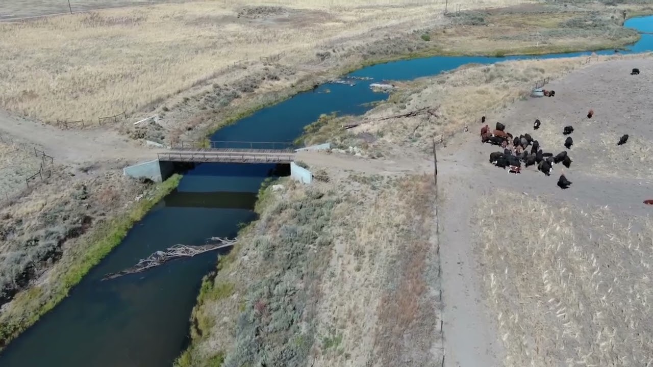 Sycan River Ranch
