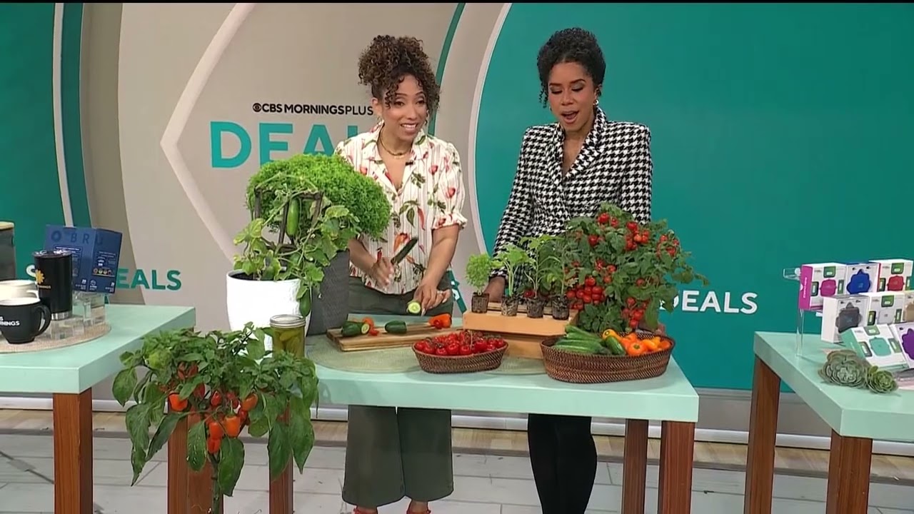CBS Morning Deals - Roberta's Unique Garden - Thursday_April 10th.2025 (3rd hour)