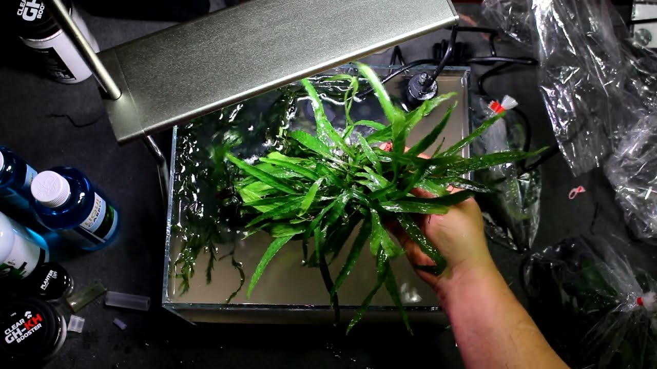 15 literes akvárium építés. 1 rész.(kezdő akvaristáknak)