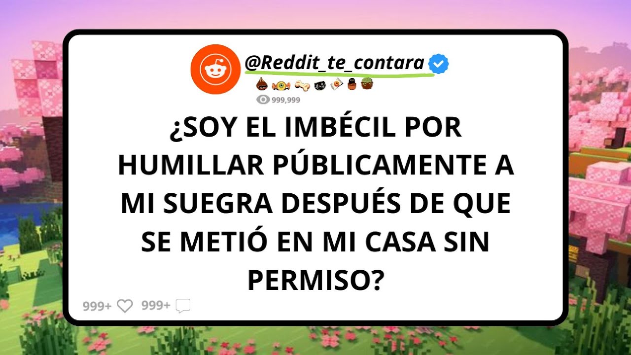 Soy el imb&eacute;cil por exponer p&uacute;blicamente a mi suegra controladora? 🤯