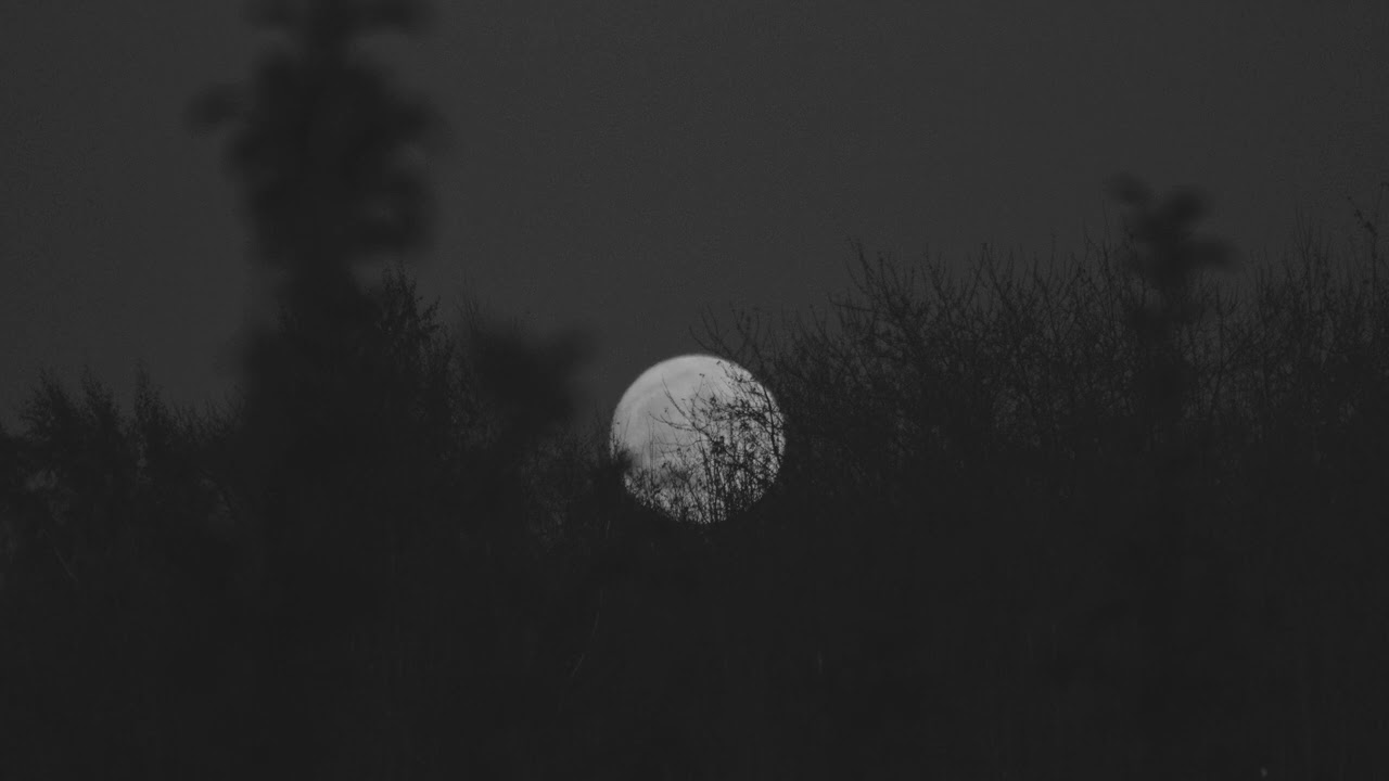leadwave - unfortunately / ambient lofi music