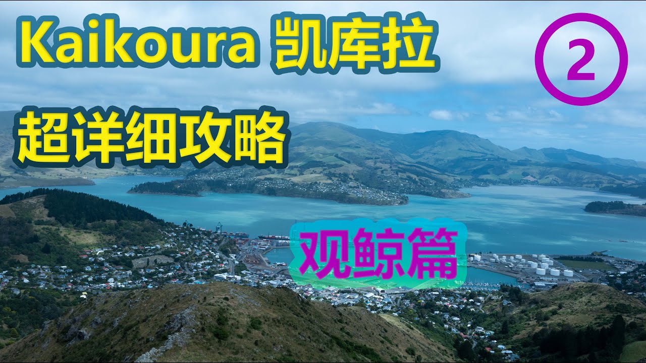 南岛 Kaikoura 凯库拉 超详细攻略 | 看鲸鱼 海豚 海豹 吃大龙虾 总结所有花费 Vlog 2