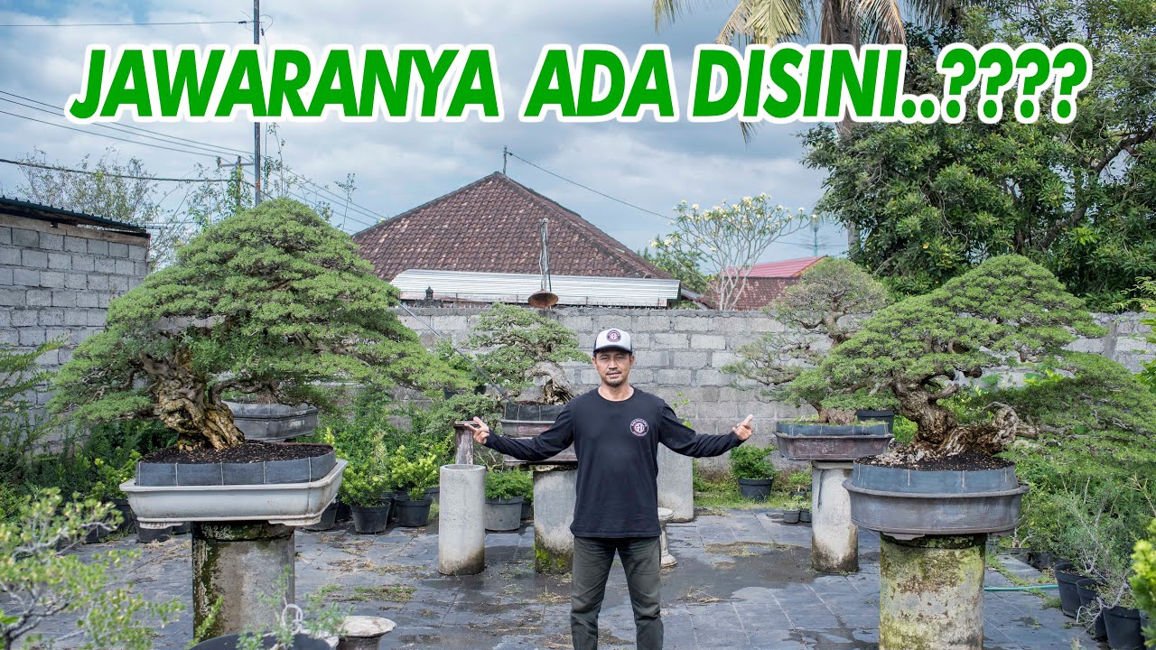 Review Koleksi Kebun GBG || part.2