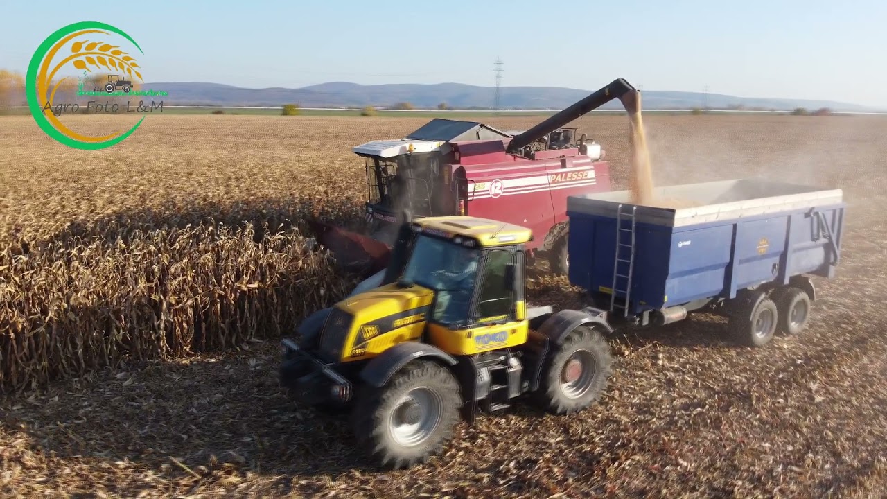 Gomselmash Palesse GS12 / JCB Fastrac 3185 // Kukurica AGROSYSTÉM Drahovce 2021