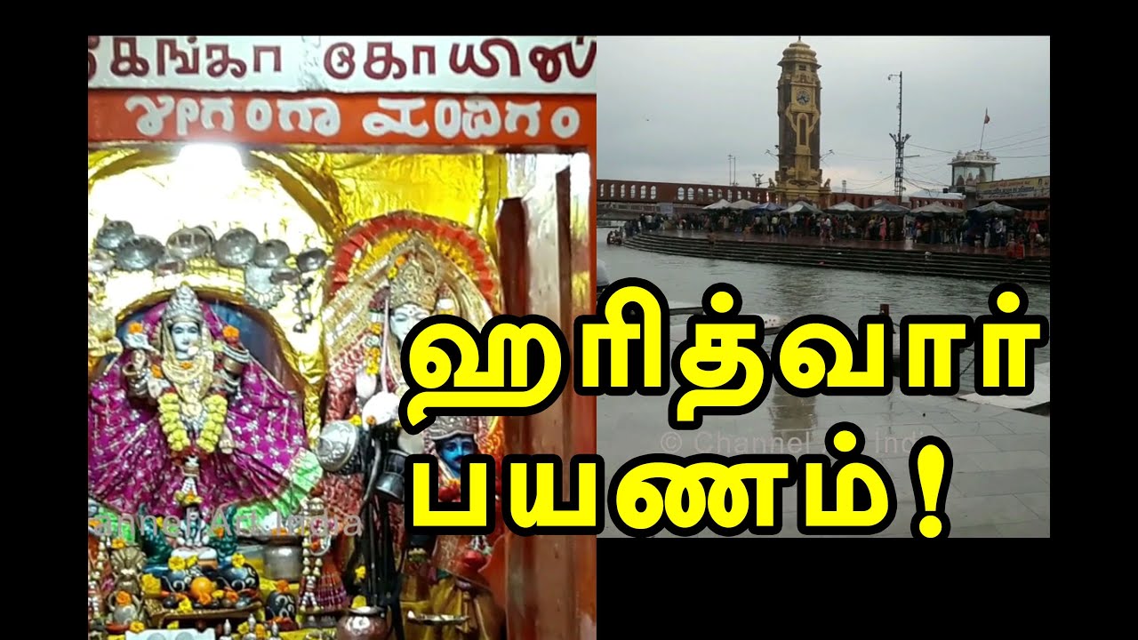 ஹரித்வார் பயணம் | haridwar trip | channel art india