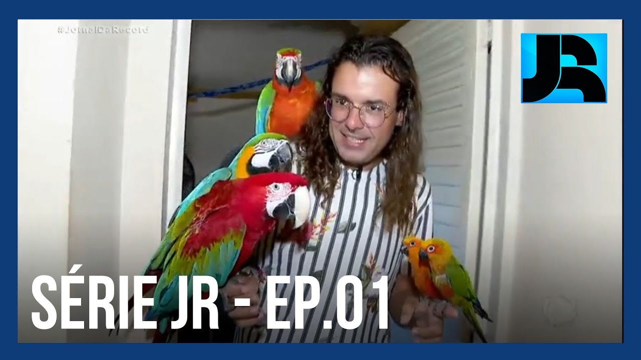 QI Animal: conheça a relação entre tutores e as araras, bichos extremamente inteligentes