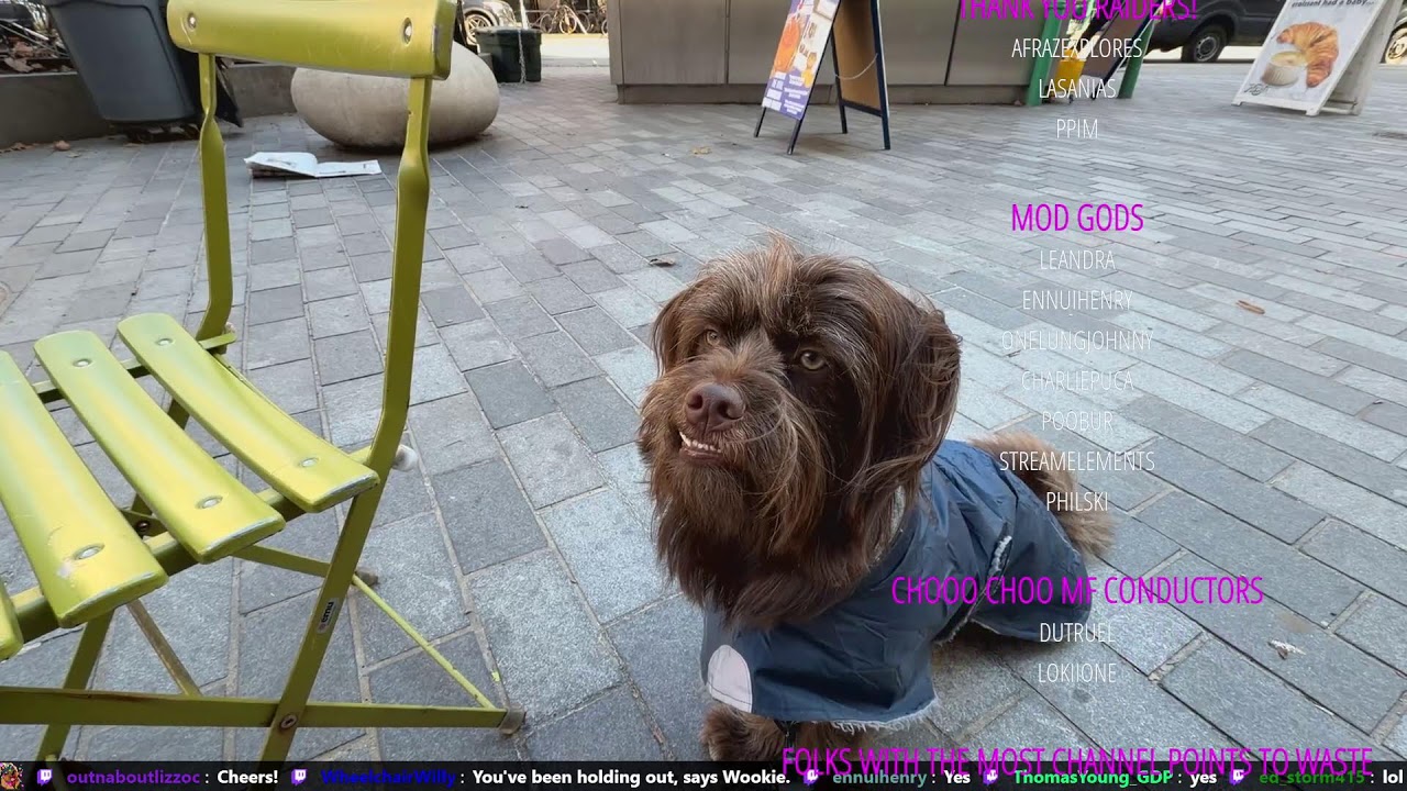 Live in NYC - Wookie Wednesday - Financial District.