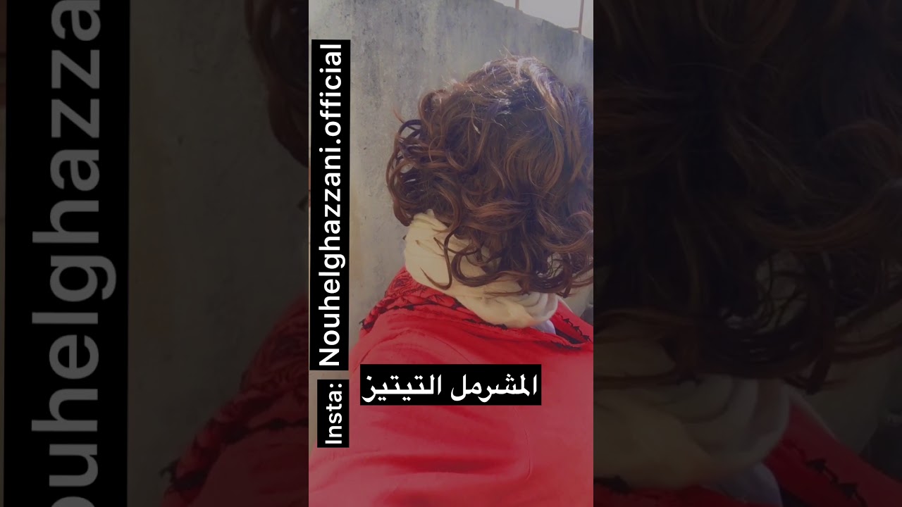 التيتيز المشرمل / نوح الغزاني