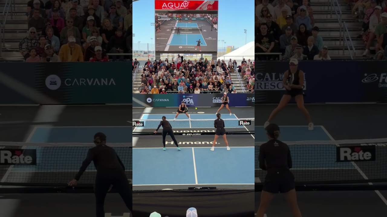 PURE DOMINANCE FROM AB & ALW 🤯👊#pickleball #ppa #ppatour #pickleballhighlights #propickleball