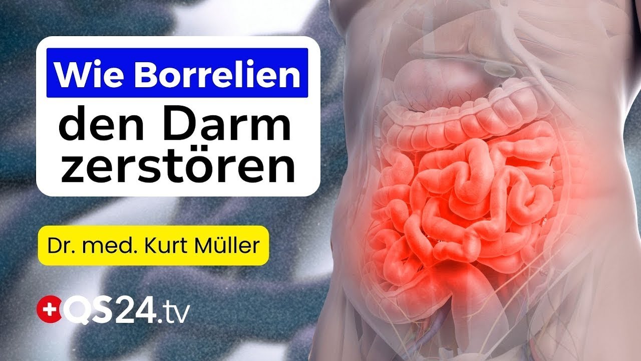 Borreliose &ndash; Die untersch&auml;tzte Ursache vieler Darmkrankheiten? | Dr. med. Kurt M&uuml;ller | QS24 Gremium