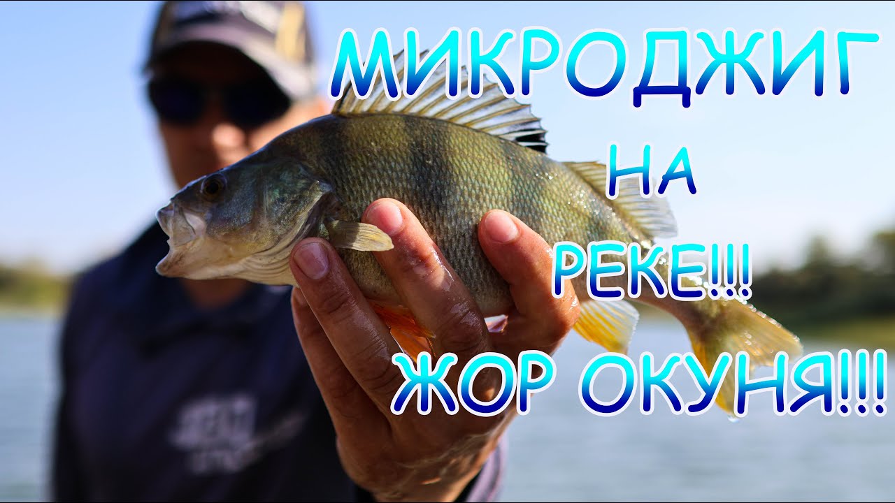 МИКРОДЖИГ рулит💪💪💪 Злой окунь на реке 👍ЖОР??? Начало!!!