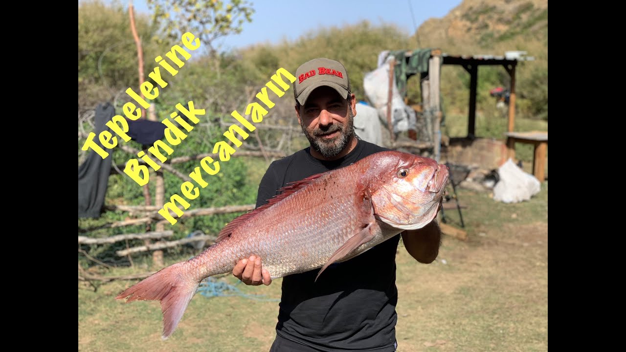 Mercan ve sinarit avı saroz jigging slow jig ve yemli çanakkale balık avı #fishing