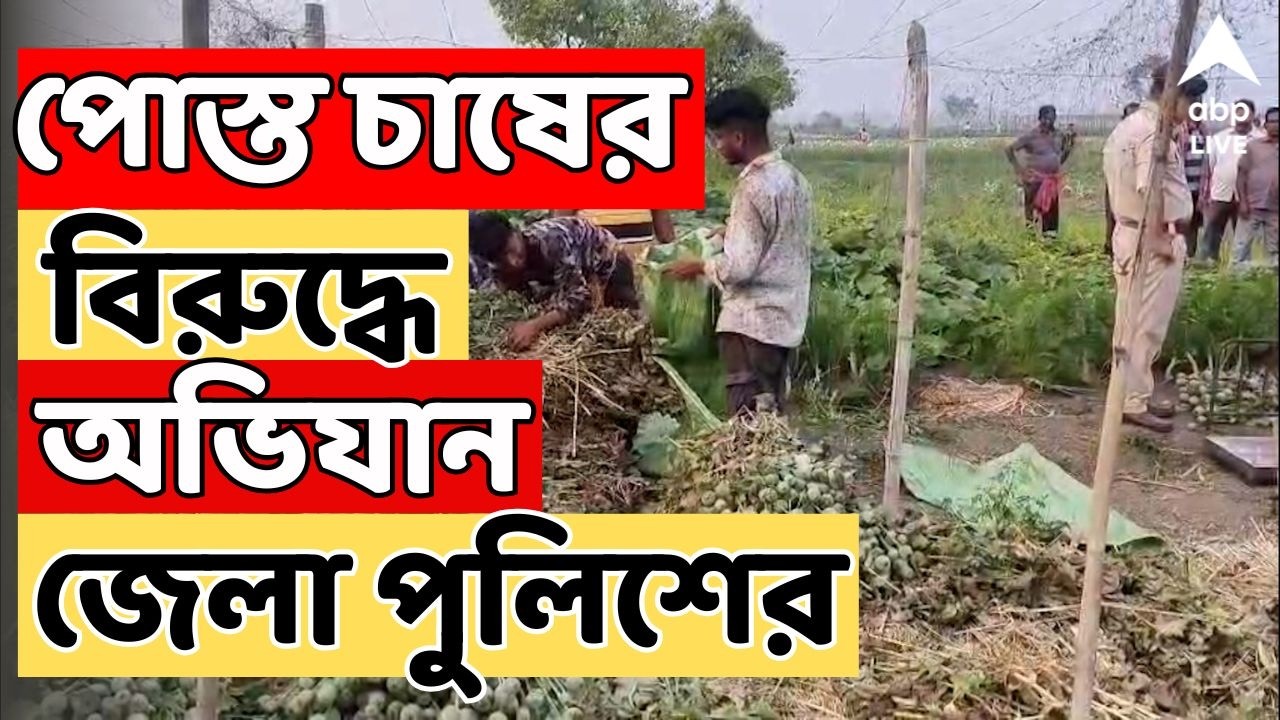 Purba Medinipur News LIVE : পূর্ব মেদিনীপুরে পোস্ত চাষের বিরুদ্ধে অভিযান জেলা পুলিশের  | ABP Ananda