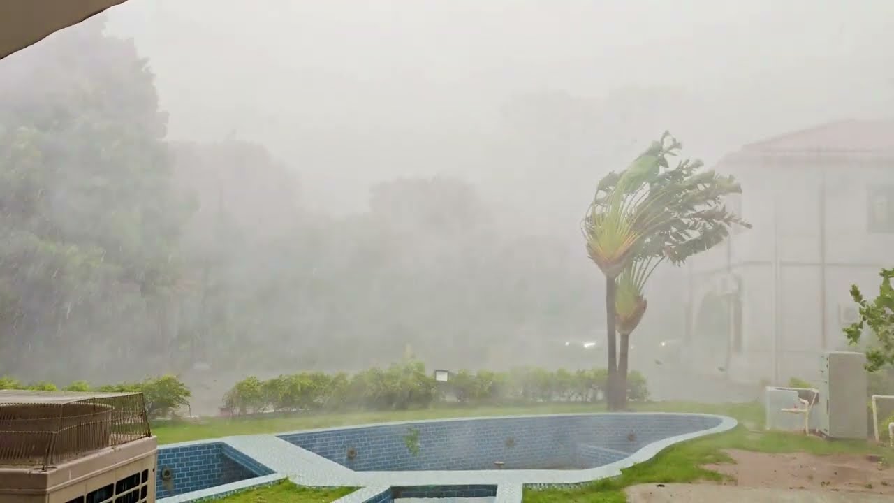 Heavy storms in Patna🌧️🌧️ #storm #storms  #weather #nature #rain #clouds #thunder #cyclone 