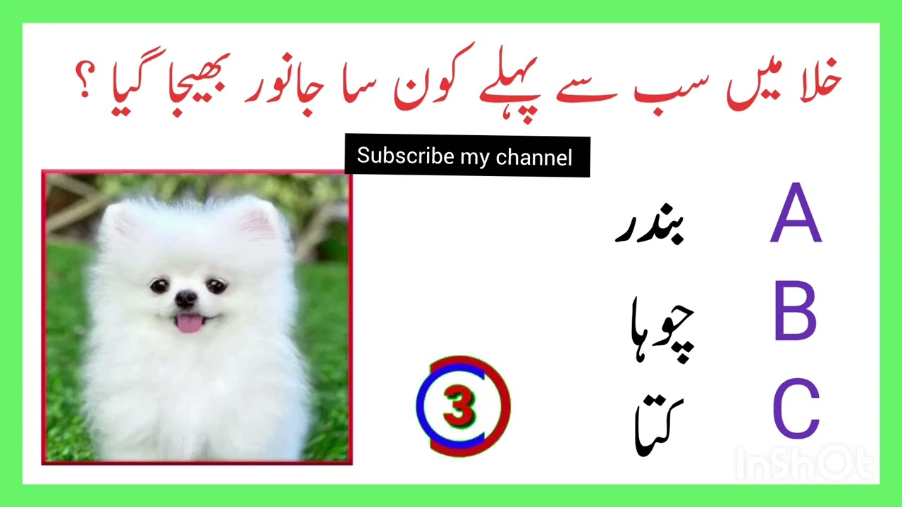Paheliyan in Urdu Funny paheliyan Generkhoeledge quiz riddles commonsense Paheliyan 