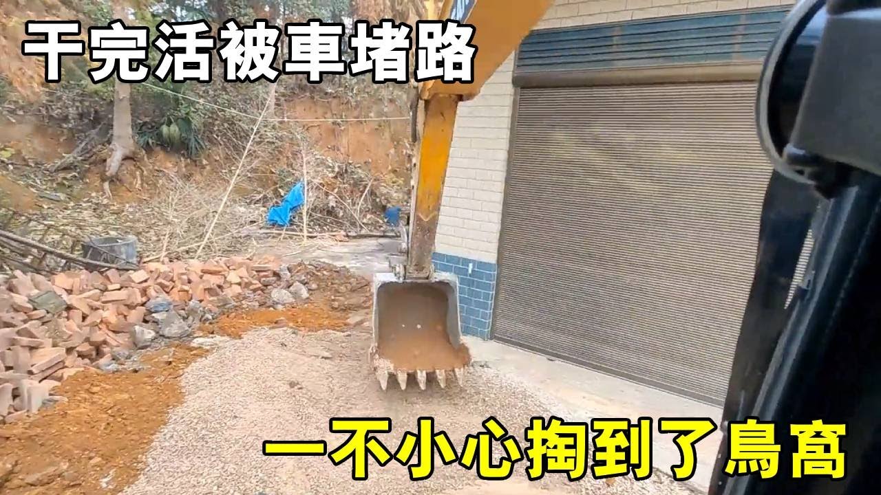 幹完活被車堵路，一不小心掏到了鳥窩，撿個小鋤頭回家【陳師傅開挖機】