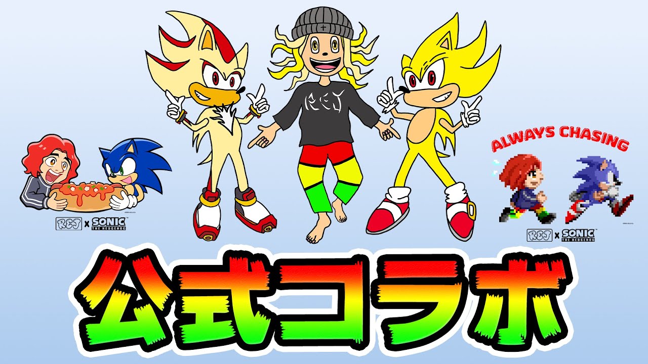 ついに夢が叶いました！🦔💨