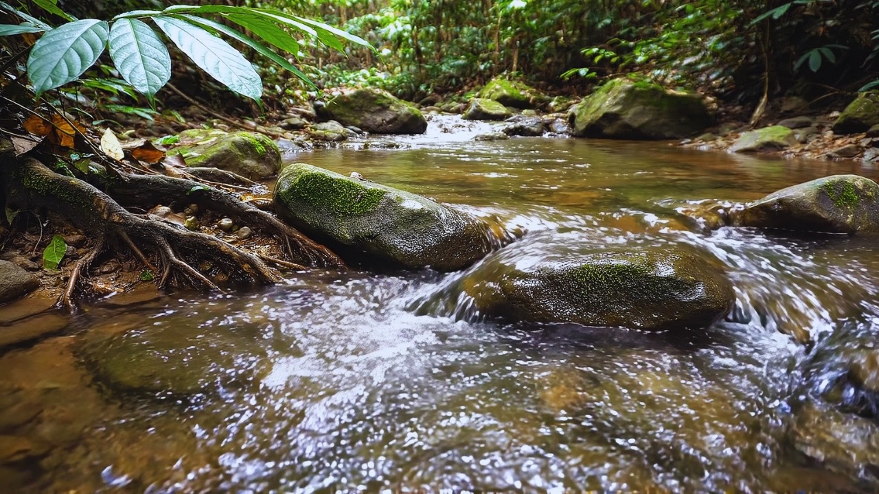 Peaceful River Flow Sounds with Relaxing Music for Sleep & Calm