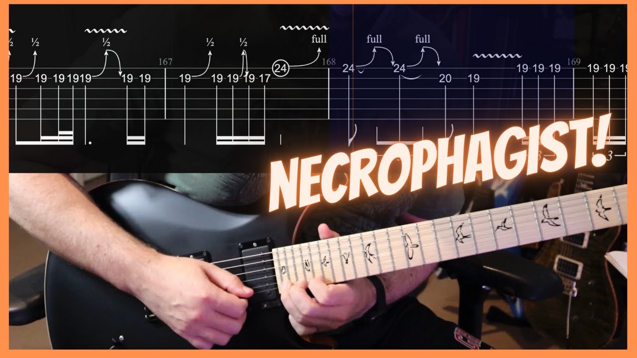 Fermented Offal Discharge First Solo - Necrophagist (D Standard Tuning)
