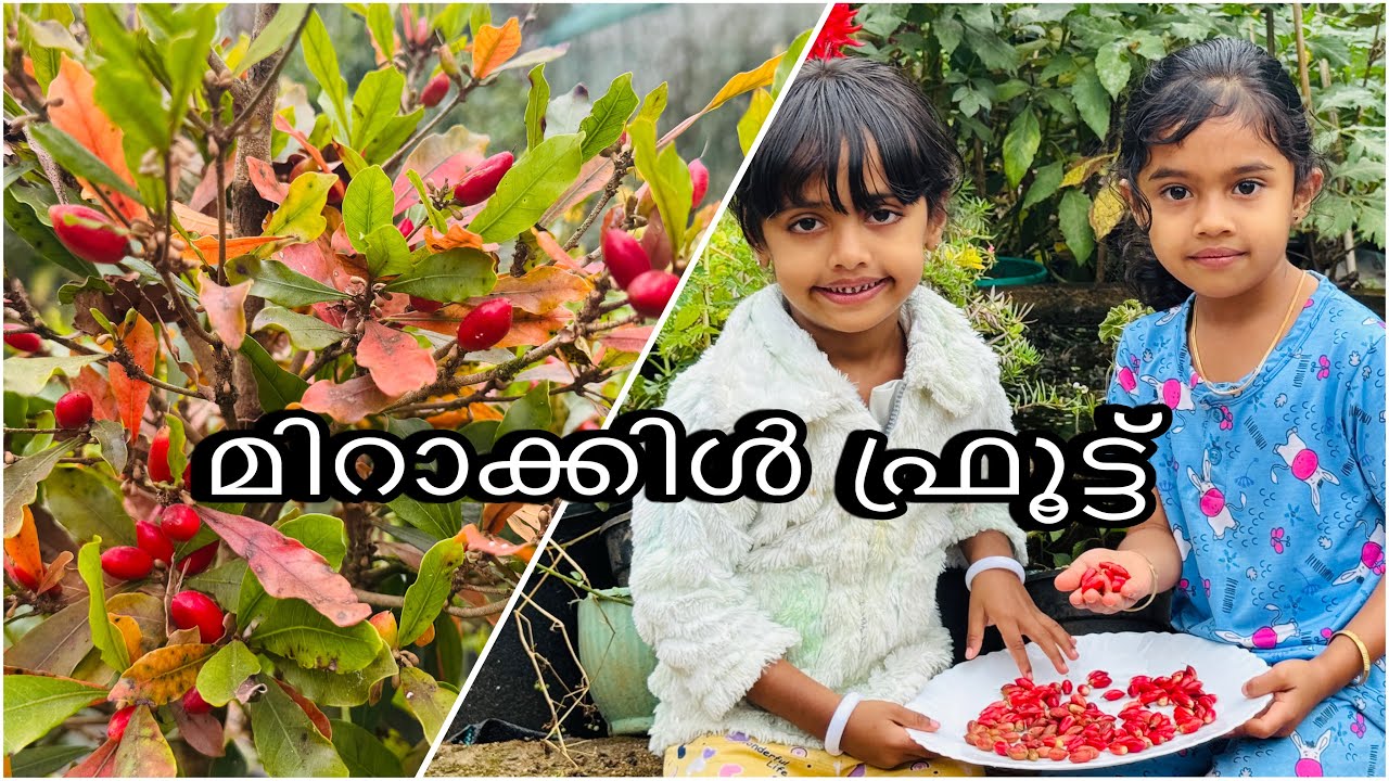 ഒരു എക്സ്പ്രഷനും കിട്ടിയില്ല 😅പാളിപോയി ചലഞ്ച് 🤭😅😇