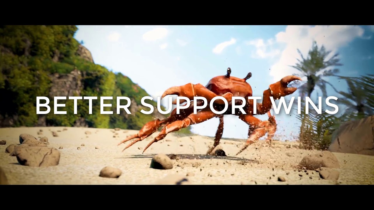 Better support wins