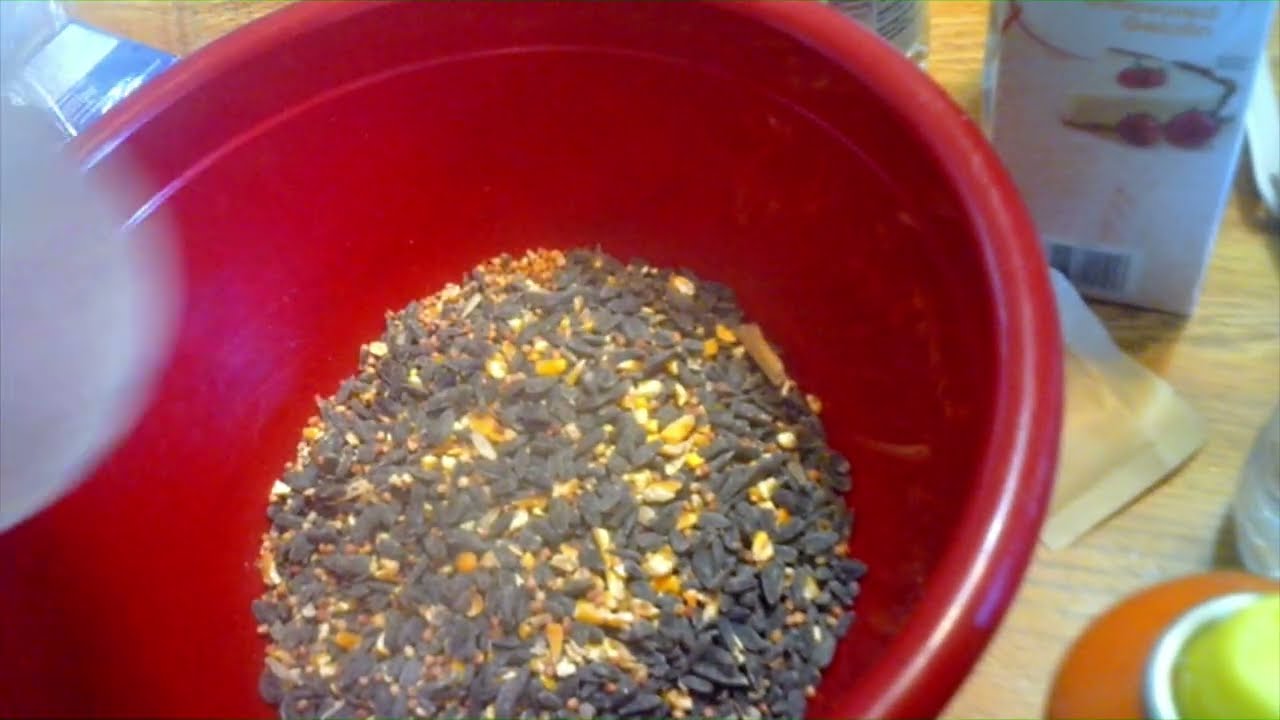 EASY BIRD FOOD SUET RECIPE