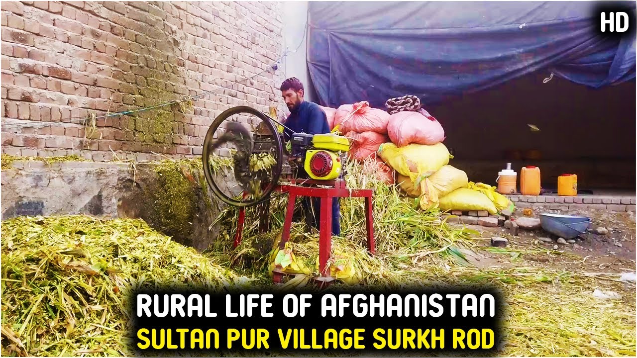 village life of Afghanistan | Rural life of Afghanistan | Sultan pur village | Surkh Rod | District