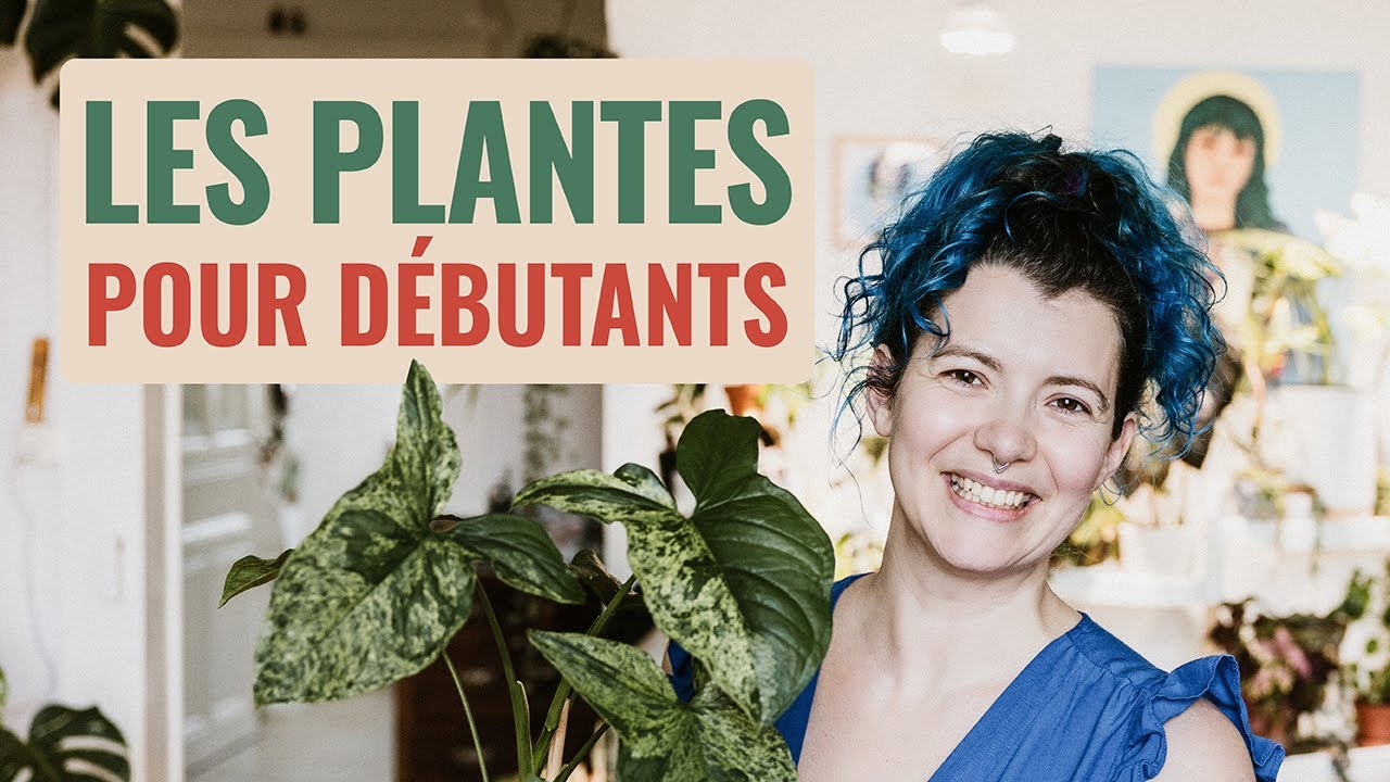 🪴Les Plantes pour débutant ! 👩‍🌾